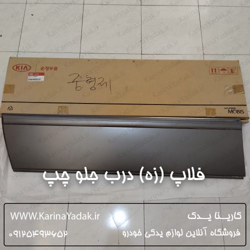 فلاپ (زه) درب جلو چپ کیا اپیروس