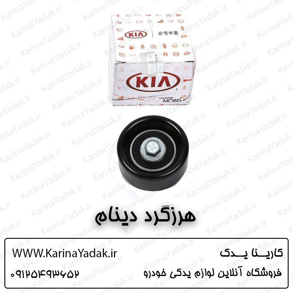 هرزگرد دینام کیا اسپورتیج