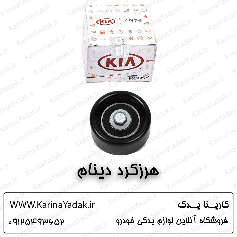 هرزگرد دینام کیا اسپورتیج