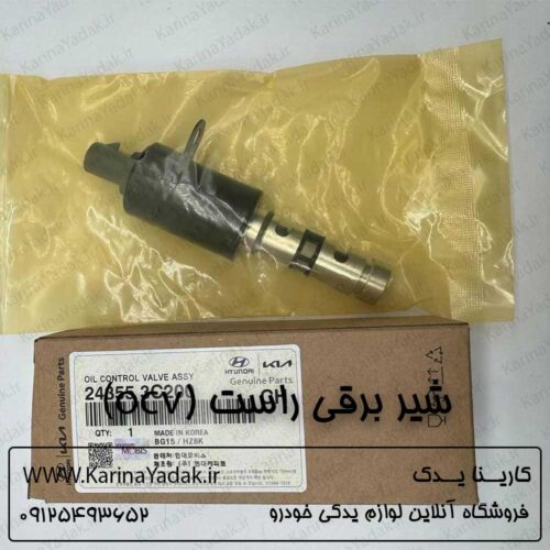 شیر برقی راست (ocv) کیا اپیروس