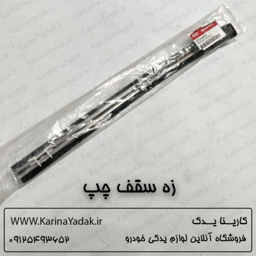 زه سقف چپ کیا کارنیوال
