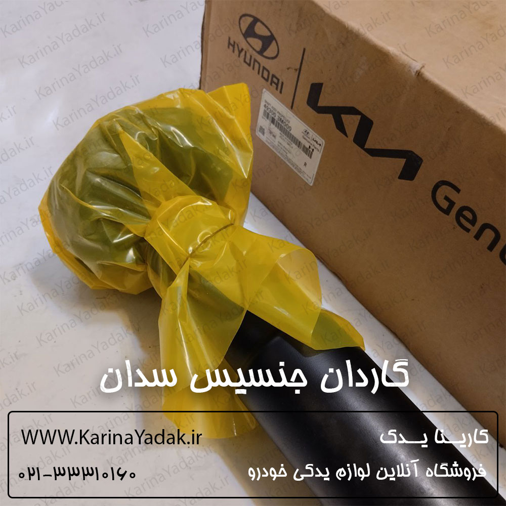 گاردان هیوندای جنسیس سدان (493003M000)