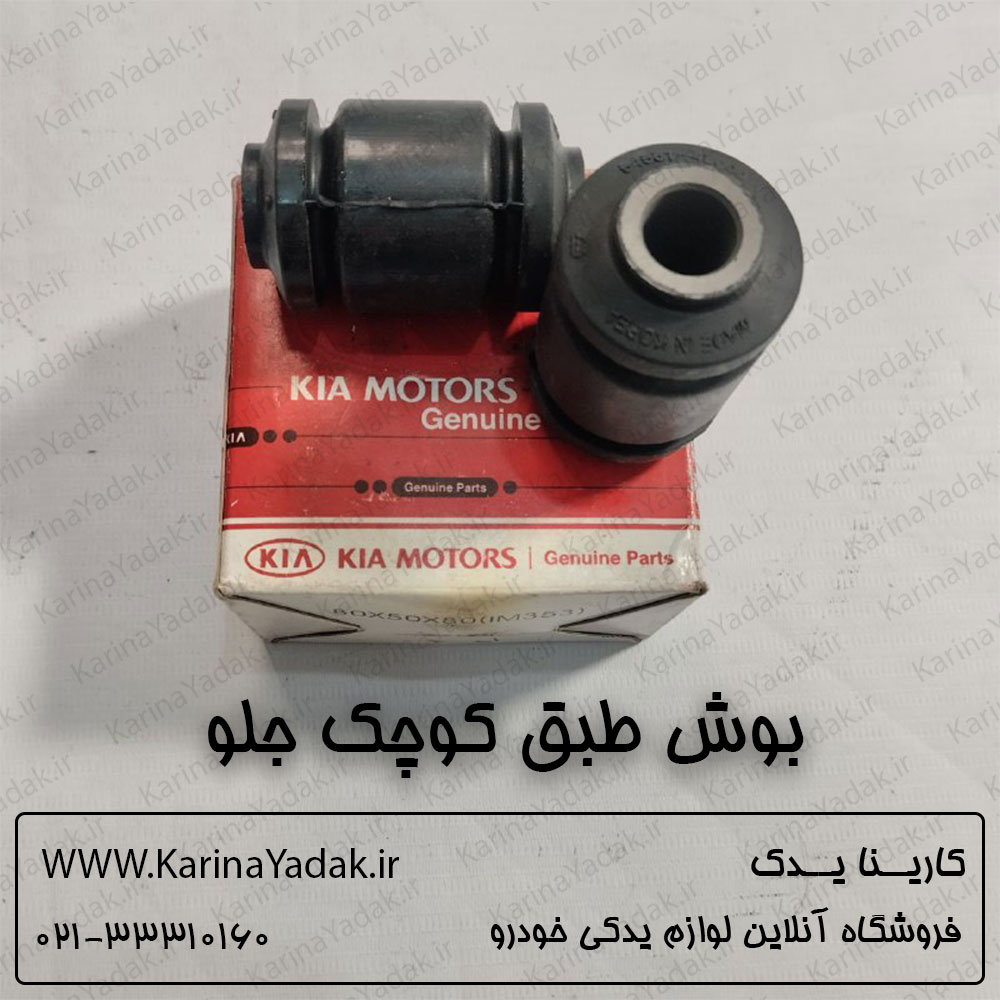 بوش طبق کوچک جنیون پارت کیا پیکانتو