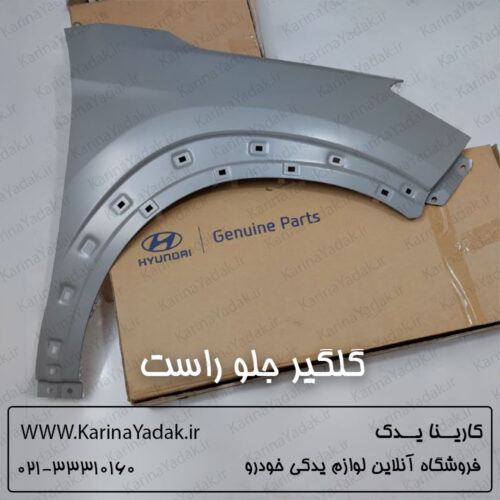 گلگیر جلو راست هیوندای توسان tl