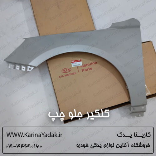 گلگیر جلو چپ کیا کادنزا